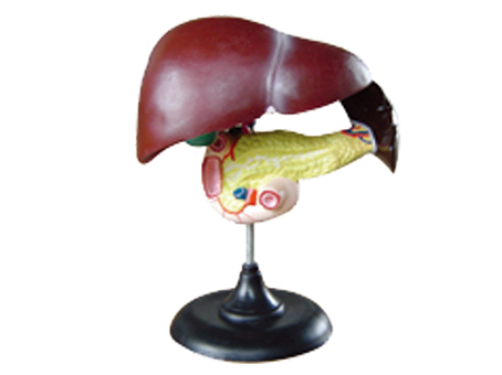 SD-093 33216ʮ֬cKģ